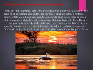 Scurt istoric privind protecţia naturii în Delta Dunării
Unul din motivele pentru care Delta Dunării a devenit rezervaţie a biosferei este
acela că, în comparaţie cu alte delte ale Europei şi chiar ale Terrei, a păstrat o
biodiversitate mai ridicată, prin aceasta întelegându-se un număr mare de specii
dintr-o mare diversitate de unităţi sistematice. Mai mult decât atât, Delta Dunării
frapează prin densitatea ridicată la multe specii, care sunt rare sau lipsesc din alte
zone ale continentului, cu toate că din cauza efectelor activităţilor antropice din
ultimile decenii şi efectivele acestor specii ca şi habitatele lor au fost grav afectate.
 