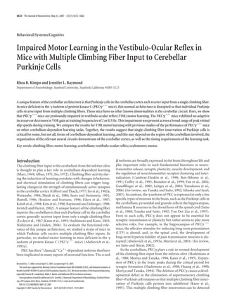 Behavioral/Systems/Cognitive
Impaired Motor Learning in the Vestibulo-Ocular Reflex in
Mice with Multiple Climbing Fiber Input to Cerebellar
Purkinje Cells
Rhea R. Kimpo and Jennifer L. Raymond
Department of Neurobiology, Stanford University, Stanford, California 94305-5125
AuniquefeatureofthecerebellararchitectureisthatPurkinjecellsinthecerebellarcortexeachreceiveinputfromasingleclimbingfiber.
In mice deficient in the ␥ isoform of protein kinase C (PKC␥Ϫ/Ϫ
mice), this normal architecture is disrupted so that individual Purkinje
cells receive input from multiple climbing fibers. These mice have no other known abnormalities in the cerebellar circuit. Here, we show
that PKC␥Ϫ/Ϫ
mice are profoundly impaired in vestibulo-ocular reflex (VOR) motor learning. The PKC␥Ϫ/Ϫ
mice exhibited no adaptive
increasesordecreasesinVORgainattrainingfrequenciesof2or0.5Hz.Thisimpairmentwaspresentacrossabroadrangeofpeakretinal
slip speeds during training. We compare the results for VOR motor learning with previous studies of the performance of PKC␥Ϫ/Ϫ
mice
on other cerebellum-dependent learning tasks. Together, the results suggest that single climbing fiber innervation of Purkinje cells is
critical for some, but not all, forms of cerebellum-dependent learning, and this may depend on the region of the cerebellum involved, the
organization of the relevant neural circuits downstream of the cerebellar cortex, as well as the timing requirements of the learning task.
Key words: climbing fiber; motor learning; cerebellum; vestibulo-ocular reflex; oculomotor; mouse
Introduction
The climbing fiber input to the cerebellum from the inferior olive
is thought to play a key role in cerebellum-dependent learning
(Marr, 1969; Albus, 1971; Ito, 1972). Climbing fiber activity dur-
ing the induction of learning correlates with changes in behavior,
and electrical stimulation of climbing fibers can trigger long-
lasting changes in the strength of simultaneously active synapses
in the cerebellar cortex (Gilbert and Thach, 1977; Ito et al., 1982a;
Watanabe, 1984; Mauk et al., 1986; Sears and Steinmetz, 1991;
Hartell, 1996; Hesslow and Ivarsson, 1996; Eilers et al., 1997;
Katoh et al., 1998; Kim et al., 1998; Raymond and Lisberger, 1998;
Jorntell and Ekerot, 2002). A unique feature of the climbing fiber
input to the cerebellum is that each Purkinje cell in the cerebellar
cortex generally receives input from only a single climbing fiber
(Eccles et al., 1967; Kano et al., 1995; Hashimoto and Kano, 2003;
Nishiyama and Linden, 2004). To evaluate the functional rele-
vance of this unique architecture, we studied a strain of mice in
which Purkinje cells receive multiple climbing fiber inputs. In
particular, we studied motor learning in mice deficient in the ␥
isoform of protein kinase C (PKC␥Ϫ/Ϫ
mice) (Abeliovich et al.,
1993a).
PKC has three “classical,” Ca2ϩ
-dependent isoforms that have
been implicated in many aspects of neuronal function. The ␣ and
␤ isoforms are broadly expressed in the brain throughout life and
play important roles in such fundamental functions as neuro-
transmitter release, synaptic plasticity, neurite development, and
the regulation of neurotransmitter receptor clustering and inter-
nalization (Cambray-Deakin et al., 1990; Ben-Shlomo et al.,
1991; Coffey et al., 1993; Brandon et al., 1999; Fan et al., 2002;
Gundlfinger et al., 2003; Leitges et al., 2004; Tatsukawa et al.,
2006) (for review, see Tanaka and Saito, 1992; Silinsky and Searl,
2003). In contrast, the ␥ isoform of PKC is expressed in only a few
specific types of neurons in the brain, such as the Purkinje cells in
the cerebellum, pyramidal and granule cells in the hippocampus,
and lamina II neurons in the dorsal horn of the spinal cord (Saito
et al., 1988; Tanaka and Saito, 1992; Van Der Zee et al., 1997).
Even in such cells, PKC␥ does not appear to be essential for
synaptic transmission or plasticity but rather seems to play more
selective roles. For example, in the hippocampus of PKC␥Ϫ/Ϫ
mice, the effective stimulus for inducing long-term potentiation
(LTP) is altered, and, in the spinal cord, the development of
long-term hyperexcitability of pain transmission neurons is dis-
rupted (Abeliovich et al., 1993a; Martin et al., 2001) (for review,
see Saito and Shirai, 2002).
In the cerebellum, PKC␥ plays a role in normal development
of the climbing fiber input from the inferior olive (Hashimoto et
al., 1988; Moriya and Tanaka, 1994; Kano et al., 1995). Expres-
sion of PKC␥ in the brain peaks during the critical period for
synapse formation (Hashimoto et al., 1988; Huang et al., 1990;
Moriya and Tanaka, 1994). The deletion of PKC␥ causes a devel-
opmental defect in the elimination of supernumerary climbing
fiber–Purkinje cell synapses so that multiple climbing fiber inner-
vation of Purkinje cells persists into adulthood (Kano et al.,
1995). This multiple climbing fiber innervation can be detected
Received Dec. 7, 2006; revised April 12, 2007; accepted April 16, 2007.
This work was supported by National Science Foundation Grant DBI-0208400 (R.R.K.) and National Institutes of
HealthGrantR01DC004154andanEJLBFoundationAward(J.L.R.).WethankmembersoftheRaymondlaboratory,
especially Pamela W. Louderback, Robin S. Booth, and Katherine Oh for technical assistance.
CorrespondenceshouldbeaddressedtoDr.JenniferL.Raymond,DepartmentofNeurobiology,StanfordUniver-
sity, 299 Campus Drive West, Stanford, CA 94305-5125. E-mail: jenr@stanford.edu.
DOI:10.1523/JNEUROSCI.0801-07.2007
Copyright © 2007 Society for Neuroscience 0270-6474/07/275672-11$15.00/0
5672 • The Journal of Neuroscience, May 23, 2007 • 27(21):5672–5682
 