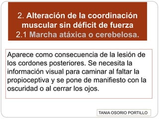 2. Alteración de la coordinación
muscular sin déficit de fuerza
2.1 Marcha atáxica o cerebelosa.
Aparece como consecuencia de la lesión de
los cordones posteriores. Se necesita la
información visual para caminar al faltar la
propioceptiva y se pone de manifiesto con la
oscuridad o al cerrar los ojos.
TANIA OSORIO PORTILLO
 