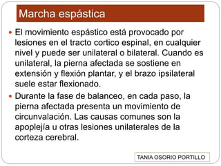 Marcha espástica
 El movimiento espástico está provocado por
lesiones en el tracto cortico espinal, en cualquier
nivel y puede ser unilateral o bilateral. Cuando es
unilateral, la pierna afectada se sostiene en
extensión y flexión plantar, y el brazo ipsilateral
suele estar flexionado.
 Durante la fase de balanceo, en cada paso, la
pierna afectada presenta un movimiento de
circunvalación. Las causas comunes son la
apoplejía u otras lesiones unilaterales de la
corteza cerebral.
TANIA OSORIO PORTILLO
 