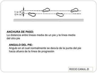 ANCHURA DE PASO:
La distancia entre líneas media de un pie y la línea media
del otro pie
ANGULO DEL PIE:
Angulo en el cual normalmente se desvía de la punta del pie
hacia afuera de la línea de progresión
ROCIO CANUL ZI
 