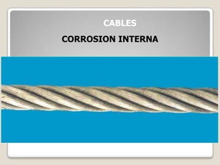 CABLES
CORROSION INTERNA
 