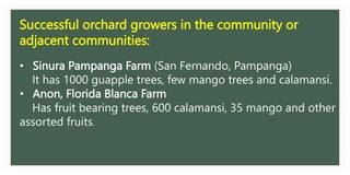 Guapple Tree 438321215-Importance-of-Planting-and-Propagating-Trees-and-Fruit ...