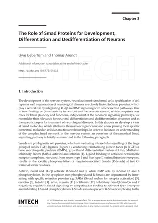Chapter 3
The Role of Smad Proteins for Development,
Differentiation and Dedifferentiation of Neurons
Uwe Ueberham and Thomas Arendt
Additional information is available at the end of the chapter
http://dx.doi.org/10.5772/54532
1. Introduction
The development of the nervous system, neuralization of ectodermal cells, specification of cell
types as well as generation of neurological diseases are closely linked to Smad proteins, which
play a central role by integrating TGFβ and BMP signalling with other essential pathways. Due
to new findings on Smad activity in neurons and the nervous system, which comprises new
roles for brain plasticity and functions, independent of the canonical signalling pathways, we
reconsider their relevance for neuronal differentiation and dedifferentiation processes and as
therapeutic targets for treatment of neurological diseases. In this chapter we develop a view
at Smad molecules, which attributes them a basic significance and allow proving their specific
contextual molecular, cellular and tissue relationships. In order to facilitate the understanding
of the complex Smad network in the nervous system an overview of the canonical Smad
signalling pathway is briefly summarized in the following paragraph.
Smads are phylogenetic old proteins, which are mediating intracellular signalling of the large
group of solube TGFβ ligands (Figure 1), containing transforming growth factor βs (TGFβs),
bone morphogentic proteins (BMPs), growth and differentiation factors (GDFs), Müllerian
inhibitory factors (MISs), activins and inhibins [4]. Ligand binding to activated heteromeric
receptor complexes, recruited from seven type I and five type II serine/threonine receptors,
results in the specific phosphorylation of receptor-associated Smads (R-Smads) at two C-
terminal serine residues.
Activin, nodal and TGFβ activate R-Smad2 and 3, while BMP acts by R-Smad1,5 and 8
phosphorylation. In the cytoplasm non-phosphorylated R-Smads are sequestrated by inter‐
acting with specific retention proteins e.g. SARA (Smad anchor for receptor activation) [5],
endofin [8], tubulin [3], actin, myosin [11] or filamin [12]. Inhibitory Smad(I-Smad)6 and 7
negatively regulate R-Smad signalling by competing for binding to activated type I receptor
and inhibiting R-Smad phosphorylation. I-Smads can also prevent R-Smad complexing to the
© 2013 Ueberham and Arendt; licensee InTech. This is an open access article distributed under the terms of
the Creative Commons Attribution License (http://creativecommons.org/licenses/by/3.0), which permits
unrestricted use, distribution, and reproduction in any medium, provided the original work is properly cited.
 