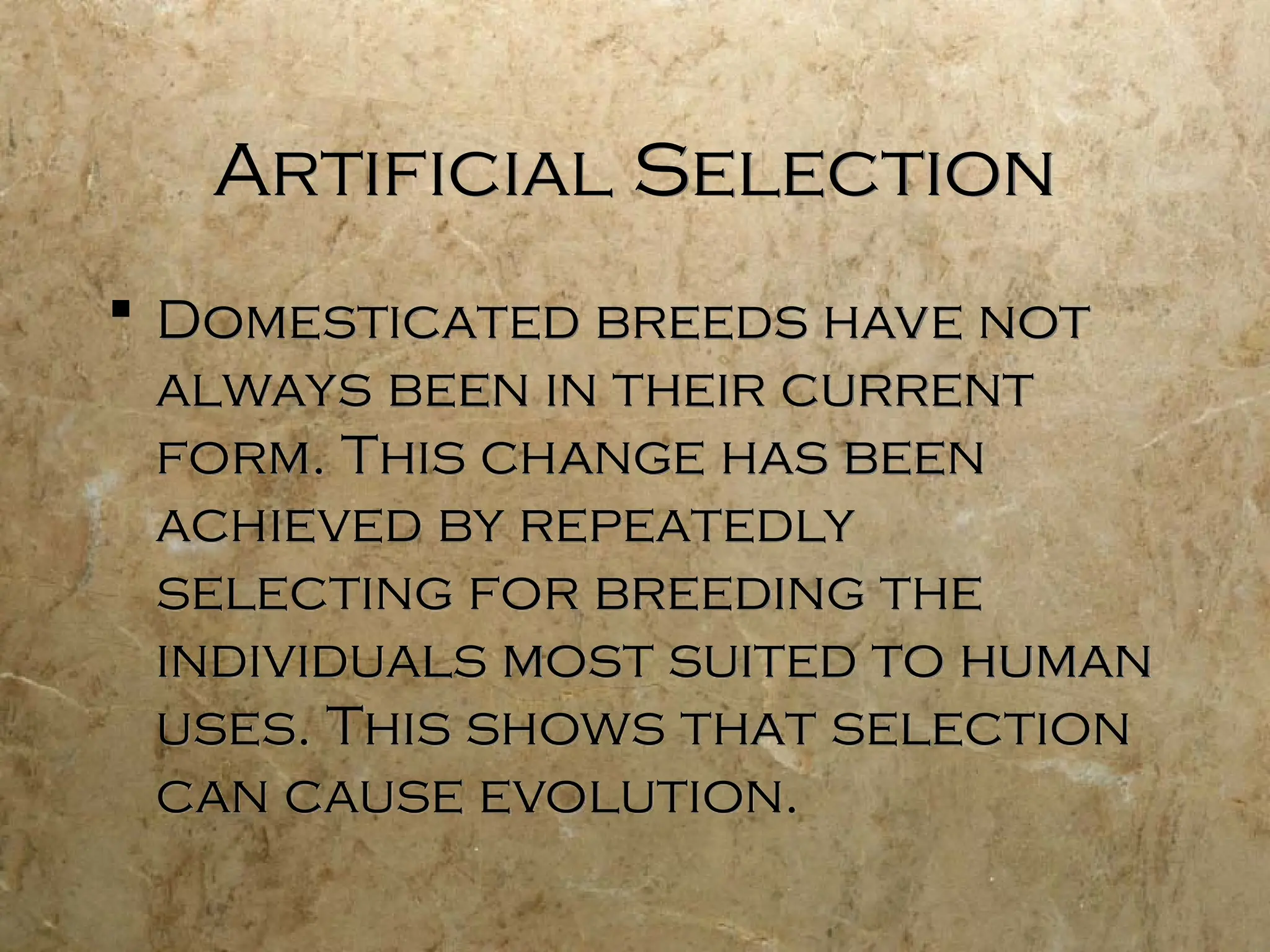 438770907-Mechanisms-of-Evolution-ppt.ppt. | PPT