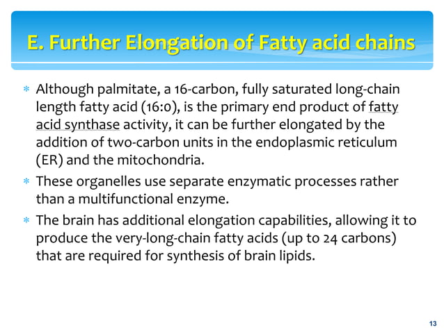 fatty acid and TAG metabolism | PPT | Chemistry | Science