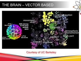 THE BRAIN – VECTOR BASED
Courtesy of UC Berkeley
 