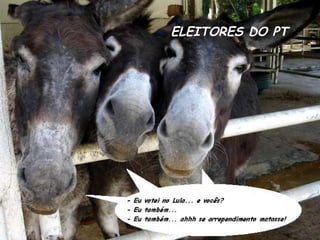 ELEITORES DO PT
 