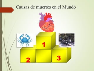 Causas de muertes en el Mundo
1
3
2
 