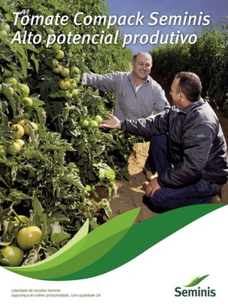 Tomate Compack Seminis
Alto potencial produtivo
Liberdade de escolha Seminis:
segurança de colher produtividade, com qualidade 2A.
 