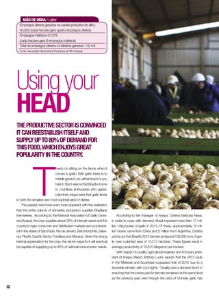 MÃO DE OBRA / Labor
Empregos diretos gerados na cadeia produtiva do alho:	
40.852 (cada hectare gera quatro empregos diretos)
Empregos indiretos:	61.278
(cada hectare gera 6 empregos indiretos)
Total de empregos (diretos e indiretos) gerados: 102 mil
Fonte: Associação Nacional dos Produtores de Alho (Anapa).
T
here’s no sitting on the fence when it
comes to garlic. With garlic there is no
middle ground: you either love it or you
hate it. But it seems that Brazil is home
to countless enthusiasts who appre-
ciate that unique taste that garlic lends
to both the simplest and most sophisticated of dishes.
This passion becomes even more apparent with the realization
that the entire volume of domestic production supplies Brazilians
themselves. According to the National Association of Garlic Grow-
ers (Anapa), the crop supplies about 32% of internal needs and the
country’s major consumer and distribution markets are concentrat-
ed in the states of São Paulo, Rio de Janeiro, Belo Horizonte, Salva-
dor, Recife, Espírito Santo, Fortaleza and Manaus. Given the strong
internal appreciation for the crop, the sector expects it will eventual
be capable of supplying up to 80% of national consumption needs.
Usingyour
head
Theproductivesectorisconvinced
itcanreestablishitselfand
supplyupto80%ofdemandfor
thisfood,whichenjoysgreat
popularityinthecountry.
According to the manager of Anapa, Cristina Barbosa Neiva,
in order to cope with demand, Brazil imported more than 17 mil-
lion 10kg boxes of garlic in 2013. Of these, approximately 12 mil-
lion boxes came from China and 5 million from Argentina. Cristina
points out that Brazil’s 2013 harvest produced 108,393 tons of gar-
lic over a planted area of 10,213 hectares. These figures result in
average productivity of 10,610 kilograms per hectare.
With respect to quality, agricultural engineer and honorary presi-
dent of Anapa, Marco Antônio Lucini, reports that the 2013 cycle
in the Midwest and Southeast surpassed that of 2012 due to a
favorable climate, with cool nights. “Quality was a decisive factor in
ensuring that the prices paid to farmers remained at the same level
as the previous year, even though the price of Chinese garlic has
32
 