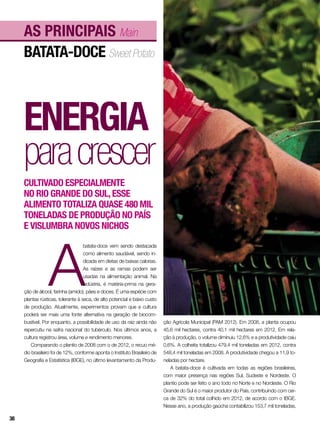 A
batata-doce vem sendo destacada
como alimento saudável, sendo in-
dicada em dietas de baixas calorias.
As raízes e as ramas podem ser
usadas na alimentação animal. Na
indústria, é matéria-prima na gera-
ção de álcool, farinha (amido), pães e doces. É uma espécie com
plantas rústicas, tolerante à seca, de alto potencial e baixo custo
de produção. Atualmente, experimentos provam que a cultura
poderá ser mais uma fonte alternativa na geração de biocom-
bustível. Por enquanto, a possibilidade de uso da raiz ainda não
repercutiu na safra nacional do tubérculo. Nos últimos anos, a
cultura registrou área, volume e rendimento menores.
Comparando o plantio de 2008 com o de 2012, o recuo mé-
dio brasileiro foi de 12%, conforme aponta o Instituto Brasileiro de
Geografia e Estatística (IBGE), no último levantamento da Produ-
batata-doce Sweet Potato
As principais Main
Energia
paracrescer
Cultivado especialmente
no Rio Grande do Sul,esse
alimento totaliza quase 480 mil
toneladas de produção no País
e vislumbra novos nichos
ção Agrícola Municipal (PAM 2012). Em 2008, a planta ocupou
45,6 mil hectares, contra 40,1 mil hectares em 2012. Em rela-
ção à produção, o volume diminuiu 12,6% e a produtividade caiu
0,6%. A colheita totalizou 479,4 mil toneladas em 2012, contra
548,4 mil toneladas em 2008. A produtividade chegou a 11,9 to-
neladas por hectare.
A batata-doce é cultivada em todas as regiões brasileiras,
com maior presença nas regiões Sul, Sudeste e Nordeste. O
plantio pode ser feito o ano todo no Norte e no Nordeste. O Rio
Grande do Sul é o maior produtor do País, contribuindo com cer-
ca de 32% do total colhido em 2012, de acordo com o IBGE.
Nesse ano, a produção gaúcha contabilizou 153,7 mil toneladas,
38
 