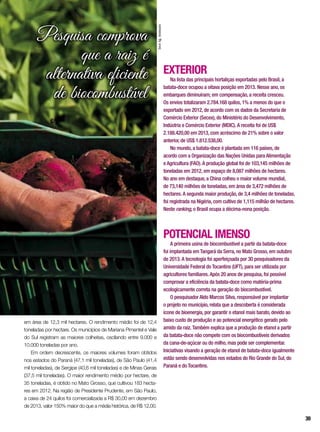 Pesquisa comprova
que a raiz é
alternativa eficiente
de biocombustível
EXTERIOR
Na lista das principais hortaliças exportadas pelo Brasil, a
batata-doce ocupou a oitava posição em 2013. Nesse ano, os
embarques diminuíram; em compensação, a receita cresceu.
Os envios totalizaram 2.784.168 quilos, 1% a menos do que o
exportado em 2012, de acordo com os dados da Secretaria de
Comércio Exterior (Secex), do Ministério do Desenvolvimento,
Indústria e Comércio Exterior (MDIC). A receita foi de US$
2.188.420,00 em 2013, com acréscimo de 21% sobre o valor
anterior, de US$ 1.812.538,00.
No mundo, a batata-doce é plantada em 116 países, de
acordo com a Organização das Nações Unidas para Alimentação
e Agricultura (FAO). A produção global foi de 103,145 milhões de
toneladas em 2012, em espaço de 8,087 milhões de hectares.
No ano em destaque, a China colheu o maior volume mundial,
de 73,140 milhões de toneladas, em área de 3,472 milhões de
hectares. A segunda maior produção, de 3,4 milhões de toneladas,
foi registrada na Nigéria, com cultivo de 1,115 milhão de hectares.
Neste ranking, o Brasil ocupa a décima-nona posição.
POTENCIAL IMENSO
A primeira usina de biocombustível a partir da batata-doce
foi implantada em Tangará da Serra, no Mato Grosso, em outubro
de 2013. A tecnologia foi aperfeiçoada por 30 pesquisadores da
Universidade Federal do Tocantins (UFT), para ser utilizada por
agricultores familiares. Após 20 anos de pesquisa, foi possível
comprovar a eficiência da batata-doce como matéria-prima
ecologicamente correta na geração do biocombustível.
O pesquisador Aldo Marcos Silva, responsável por implantar
o projeto no município, relata que a descoberta é considerada
ícone de bioenergia, por garantir o etanol mais barato, devido ao
baixo custo de produção e ao potencial energético gerado pelo
amido da raiz. Também explica que a produção de etanol a partir
da batata-doce não compete com os biocombustíveis derivados
da cana-de-açúcar ou do milho, mas pode ser complementar.
Iniciativas visando a geração de etanol de batata-doce igualmente
estão sendo desenvolvidas nos estados do Rio Grande do Sul, do
Paraná e do Tocantins.
em área de 12,3 mil hectares. O rendimento médio foi de 12,4
toneladas por hectare. Os municípios de Mariana Pimentel e Vale
do Sul registram as maiores colheitas, oscilando entre 9.000 e
10.000 toneladas por ano.
Em ordem decrescente, os maiores volumes foram obtidos
nos estados do Paraná (47,1 mil toneladas), de São Paulo (41,4
mil toneladas), de Sergipe (40,6 mil toneladas) e de Minas Gerais
(37,5 mil toneladas). O maior rendimento médio por hectare, de
35 toneladas, é obtido no Mato Grosso, que cultivou 183 hecta-
res em 2012. Na região de Presidente Prudente, em São Paulo,
a caixa de 24 quilos foi comercializada a R$ 30,00 em dezembro
de 2013, valor 150% maior do que a média histórica, de R$ 12,00.
InorAg.Assmann
39
 