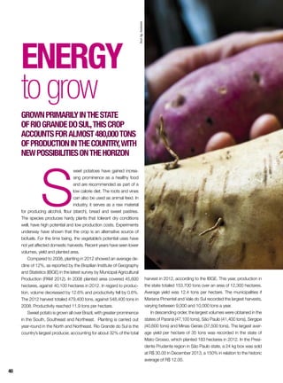 S
weet potatoes have gained increa-
sing prominence as a healthy food
and are recommended as part of a
low calorie diet. The roots and vines
can also be used as animal feed. In
industry, it serves as a raw material
for producing alcohol, flour (starch), bread and sweet pastries.
The species produces hardy plants that tolerant dry conditions
well, have high potential and low production costs. Experiments
underway have shown that the crop is an alternative source of
biofuels. For the time being, the vegetable’s potential uses have
not yet affected domestic harvests. Recent years have seen lower
volumes, yield and planted area.
Compared to 2008, planting in 2012 showed an average de-
cline of 12%, as reported by the Brazilian Institute of Geography
and Statistics (IBGE) in the latest survey by Municipal Agricultural
Production (PAM 2012). In 2008 planted area covered 45,600
hectares, against 40,100 hectares in 2012. In regard to produc-
tion, volume decreased by 12.6% and productivity fell by 0.6%.
The 2012 harvest totaled 479,400 tons, against 548,400 tons in
2008. Productivity reached 11.9 tons per hectare.
Sweet potato is grown all over Brazil, with greater prominence
in the South, Southeast and Northeast. Planting is carried out
year-round in the North and Northeast. Rio Grande do Sul is the
country’s largest producer, accounting for about 32% of the total
Energy
togrow
Grownprimarilyinthestate
ofRioGrandedoSul,thiscrop
accountsforalmost480,000tons
ofproductioninthecountry,with
newpossibilitiesonthehorizon
harvest in 2012, according to the IBGE. This year, production in
the state totaled 153,700 tons over an area of 12,300 hectares.
Average yield was 12.4 tons per hectare. The municipalities if
Mariana Pimentel and Vale do Sul recorded the largest harvests,
varying between 9,000 and 10,000 tons a year.
In descending order, the largest volumes were obtained in the
states of Paraná (47,100 tons), São Paulo (41,400 tons), Sergipe
(40,600 tons) and Minas Gerais (37,500 tons). The largest aver-
age yield per hectare of 35 tons was recorded in the state of
Mato Grosso, which planted 183 hectares in 2012. In the Presi-
dente Prudente region in São Paulo state, a 24 kg box was sold
at R$ 30.00 in December 2013, a 150% in relation to the historic
average of R$ 12.00.
InorAg.Assmann
40
 