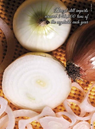 Brazil still imports
around 240,000 tons of
the vegetable each year
InorAg.Assmann
45
 