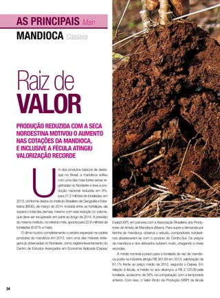 mandioca Cassava
As principais Main
Raizde
valor
Produção reduzida com a seca
nordestina motivou o aumento
nas cotações da mandioca,
e inclusive a fécula atingiu
valorização recorde
U
m dos produtos básicos de desta-
que no Brasil, a mandioca sofreu
com uma das mais fortes secas re-
gistradas no Nordeste e teve a pro-
dução nacional reduzida em 8%,
para 21,2 milhões de toneladas, em
2013, conforme dados do Instituto Brasileiro de Geografia e Esta-
tística (IBGE), de março de 2014. Incluída entre as hortaliças, ela
supera o total das demais, mesmo com esta redução no volume,
que deve ser recuperado em parte ao longo de 2014. A previsão
do mesmo instituto, no referido mês, aponta para 22,6 milhões de
toneladas (6,87% a mais).
O clima mudou completamente o cenário esperado na cadeia
produtiva da mandioca em 2013, com uma das maiores estia-
gens já observadas no Nordeste, como registra levantamento do
Centro de Estudos Avançados em Economia Aplicada (Cepea/
Esalq/USP), em parceria com a Associação Brasileira dos Produ-
tores de Amido de Mandioca (Abam). Para suprir a demanda por
farinha de mandioca, observa o estudo, compradores nordesti-
nos abasteceram-se com o produto do Centro-Sul. Os preços
da mandioca e dos derivados subiram muito, chegando a níveis
recordes.
A média nominal a prazo para a tonelada de raiz de mandio-
ca posta na indústria atingiu R$ 381,69 em 2013, valorização de
61,1% frente ao preço médio de 2012, segundo o Cepea. Em
relação à fécula, a média no ano alcançou a R$ 2.125,09 pela
tonelada, acréscimo de 58% na comparação com a temporada
anterior. Com isso, o Valor Bruto da Produção (VBP) da fécula
54
 