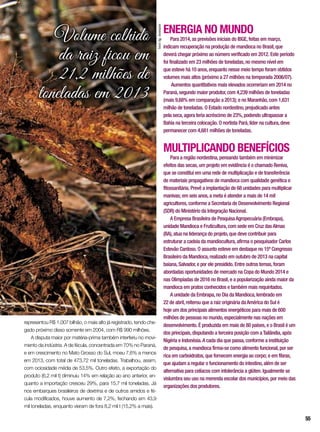 ENERGIA NO MUNDO
Para 2014,as previsões iniciais do IBGE,feitas em março,
indicam recuperação na produção de mandioca no Brasil,que
deverá chegar próximo ao número verificado em 2012. Este período
foi finalizado em 23 milhões de toneladas,no mesmo nível em
que esteve há 10 anos,enquanto nesse meio tempo foram obtidos
volumes mais altos (próximo a 27 milhões na temporada 2006/07).
Aumentos quantitativos mais elevados ocorreriam em 2014 no
Paraná,segundo maior produtor,com 4,239 milhões de toneladas
(mais 9,68% em comparação a 2013); e no Maranhão,com 1,631
milhão de toneladas. O Estado nordestino,prejudicado antes
pela seca,agora teria acréscimo de 23%,podendo ultrapassar a
Bahia na terceira colocação. O nortista Pará,líder na cultura,deve
permanecer com 4,681 milhões de toneladas.
MULTIPLICANDO BENEFÍCIOS
Para a região nordestina,pensando também em minimizar
efeitos das secas,um projeto em evidência é o chamado Reniva,
que se constitui em uma rede de multiplicação e de transferência
de materiais propagativos de mandioca com qualidade genética e
fitossanitária. Prevê a implantação de 68 unidades para multiplicar
manivas; em seis anos,a meta é atender a mais de 14 mil
agricultores,conforme a Secretaria de Desenvolvimento Regional
(SDR) do Ministério da Integração Nacional.
A Empresa Brasileira de PesquisaAgropecuária (Embrapa),
unidade Mandioca e Fruticultura,com sede em Cruz dasAlmas
(BA),atua na liderança do projeto,que deve contribuir para
estruturar a cadeia da mandiocultura,afirma o pesquisador Carlos
Estevão Cardoso. O assunto esteve em destaque no 15º Congresso
Brasileiro da Mandioca,realizado em outubro de 2013 na capital
baiana,Salvador,e por ele presidido. Entre outros temas,foram
abordadas oportunidades de mercado na Copa do Mundo 2014 e
nas Olimpíadas de 2016 no Brasil,e a popularização ainda maior da
mandioca em pratos conhecidos e também mais requintados.
A unidade da Embrapa,no Dia da Mandioca,lembrado em
22 de abril,reiterou que a raiz originária daAmérica do Sul é
hoje um dos principais alimentos energéticos para mais de 600
milhões de pessoas no mundo,especialmente nas nações em
desenvolvimento. É produzida em mais de 80 países,e o Brasil é um
dos principais,disputando a terceira posição com aTailândia,após
Nigéria e Indonésia.A cada dia que passa,conforme a instituição
de pesquisa,a mandioca firma-se como alimento funcional,por ser
rica em carboidratos,que fornecem energia ao corpo; e em fibras,
que ajudam a regular o funcionamento do intestino,além de ser
alternativa para celíacos com intolerância a glúten. Igualmente se
vislumbra seu uso na merenda escolar dos municípios,por meio das
organizações dos produtores.
Volume colhido
da raiz ficou em
21,2 milhões de
toneladas em 2013
representou R$ 1,007 bilhão, o mais alto já registrado, tendo che-
gado próximo disso somente em 2004, com R$ 990 milhões.
A disputa maior por matéria-prima também interferiu no movi-
mento da indústria. A de fécula, concentrada em 70% no Paraná,
e em crescimento no Mato Grosso do Sul, moeu 7,6% a menos
em 2013, com total de 473,72 mil toneladas. Trabalhou, assim,
com ociosidade média de 53,5%. Outro efeito, a exportação do
produto (6,2 mil t) diminuiu 14% em relação ao ano anterior, en-
quanto a importação cresceu 29%, para 15,7 mil toneladas. Já
nos embarques brasileiros de dextrina e de outros amidos e fé-
cula modificados, houve aumento de 7,2%, fechando em 43,9
mil toneladas, enquanto vieram de fora 8,2 mil t (15,2% a mais).
InorAg.Assmann
55
 