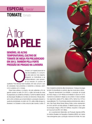 tomate Tomato
ESPECIAL Special
O
tomate é um vegetal essencial na
vida dos brasileiros. E o consumi-
dor está cada vez mais exigente,
obrigando os horticultores a se
profissionalizarem, para apresen-
tar ao mercado um produto de
qualidade. Para alcançar esse resultado, tem sido comum o uso
de variedades mais produtivas e resistentes a doenças, assim
como cuidados com o manejo.
Essas boas práticas, no entanto, não são suficientes a fim de
garantir sucesso na safra. Em 2013, o cultivo de tomate de mesa
foi prejudicado por problemas climáticos. Conforme relatório bianual
da Associação Brasileira do Comércio de Semente e Mudas (Abc-
sem), entre os fatores que comprometeram a produção e levaram a
queda de produtividade, na ordem de 12%, estão a falta de água no
Nordeste e no Sudeste e a forte onda de calor durante o verão. O
Àflor
dapele
Sensível às altas
temperaturas,cultivo de
tomate de mesa foi prejudicado
em 2013,também pela forte
pressão de pragas na lavoura
fruto é bastante sensível às altas temperaturas. O ataque de pragas
também foi intensificado no período, algumas novas para a cultura.
Segundo levantamento da entidade, a produção de tomate
de mesa chegou a 3,04 milhões de toneladas in natura em 2013,
mantendo-se estável em relação ao ano anterior. O setor é dividido
nos segmentos salada (47%), italiano (40%), Santa Cruz (12%) e
especialidades (1%). Os principais estados produtores são, pela or-
dem, São Paulo, Minas Gerais, Bahia e Goiás. Juntos, representam
em torno de 60% do total cultivado. O relatório apurou que o valor
da produção chegou a R$ 2,913 bilhões, enquanto o total gasto
em insumos foi de R$ 1,351 bilhão.
Já o Levantamento Sistemático da Produção Agrícola (LSPA),
do Instituto Brasileiro de Geografia e Estatística (IBGE), tem dados
mais abrangentes para a produção nacional de tomate. No caso
58
 