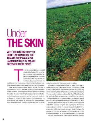 T
he tomato is a vegetable that is essential
in the life of the Brazilian. And the consu-
mer is more and more demanding, re-
quiringthevegetablefarmerstobemore
professional, so that they can offer the
market a quality product. To reach this
result, it is common to use varieties that are more productive and resis-
tant to disease, as well as to take greater care with handing measures.
These good practices, however, are not enough to ensure a
successful crop. In 2013, the table tomato crop was harmed by
weather problems. According to the biannual report of the Brazilian
Association of Seed and Seedling Trade (Abcsem), some of the fac-
tors that compromised production and led to a drop in productiv-
ity, of about 12%, were the lack of water in the Northeast and the
strong summer heat wave in the Southeast. The fruit is very sensi-
tive to high temperatures. The attack of pests also grew in intensity
Under
theskin
With their sensitivity to
high temperatures,the
tomato crop was also
harmed in 2013 by major
pressure from pests
during the period so of which were new to the culture.
According to the association’s survey, the production of table to-
matoes reached 3.04 million tons in natura in 2013, remaining stable
in relation to the prior year. The sector is divided into the following seg-
ments:salad(47%),Italian(40%),SantaCruz(12%)andspecialty(1%).
The main producing states, in order, are São Paulo, Minas Gerais, Ba-
hia, and Goiás. Together, they represent about 60% of the total crop.
Thereportsurveyedthatthemonetaryvalueoftheproductionreached
BRL 2.913 billion, while the total spent in inputs was BRL 1.351 billion.
However, the Systematic Agricultural Production Survey (LSPA)
of the IBGE has more complete data regarding the domestic to-
mato production. In 2013, the forecast released in April 2014 is for
a harvest of 3.987 million tons in an area of 60,523 hectares. The
estimate for 2014 is for an increase in 1.73% in volume and 3.38%
in surface area planted, i.e., 4.056 million tons and 62,566 hectares.
Abcsem president Steven Udsen believes the trend is toward
60
 