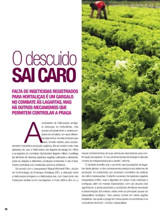 Odescuido
saicaro
Falta de inseticidas registrados
para hortaliças é um gargalo
no combate às lagartas,mas
há outros mecanismos que
permitem controlar a praga
A
voracidade da Helicoverpa armige-
ra preocupa os horticultores, mas
acossa principalmente a cadeia pro-
dutiva do tomateiro, em seus diferen-
tes segmentos: tomate tutorado para
mesa, tomate rasteiro para proces-
samento industrial e produção orgânica. Ela se mostra muito mais
agressiva do que a Helicoverpa zea (lagarta-da-espiga do milho)
e as lagartas do complexo Spodoptera (lagarta militar), é polífaga
(se alimenta de diversas espécies vegetais cultivadas e silvestres),
pode se adaptar a diferentes condições ambientais e não é facil-
mente controlada com inseticidas químicos sintéticos.
De acordo com o pesquisador Miguel Michereff Filho, doutor
em Entomologia da Embrapa Hortaliças (DF), a distinção entre
a Helicoverpa armigera e a Helicoverpa zea, com base tanto nas
mariposas adultas como nas lagartas, é muito difícil a olho nu, e
requer conhecimentos de suas estruturas reprodutivas para con-
firmação da espécie. “O uso de ferramentas de biologia molecular
mostra-se indispensável para a tarefa”, informa.
O cientista acredita que o aumento das populações de lagar-
tas deste gênero, e dos consequentes prejuízos aos sistemas de
produção, foi ocasionado por processo cumulativo de práticas
de cultivo inadequadas. O plantio sucessivo de espécies vegetais
hospedeiras (milho, soja e algodão) em áreas muito extensas e
contíguas, além do manejo inapropriado, com uso abusivo dos
agrotóxicos, e ainda associado a condições climáticas favoráveis
à disseminação dos insetos, estão entre as principais causas do
desequilíbrio ecológico. “Isso parece ocorrer em várias regiões
brasileiras, nas quais a praga tem preocupado os produtores e os
consultores técnicos”, conclui o especialista.
70
 