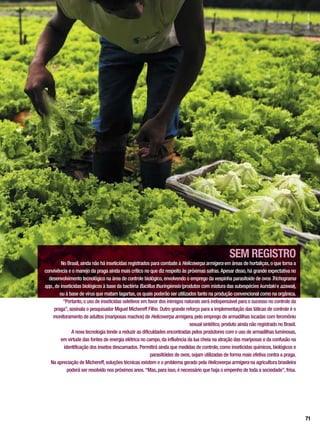 SEM REGISTRO
No Brasil,ainda não há inseticidas registrados para combate à Helicoverpa armigera em áreas de hortaliças,o que torna a
convivência e o manejo da praga ainda mais crítico no que diz respeito às próximas safras.Apesar disso,há grande expectativa no
desenvolvimento tecnológico na área de controle biológico,envolvendo o emprego da vespinha parasitoide de ovos Trichograma
spp.,de inseticidas biológicos à base da bactéria Bacillus thuringiensis (produtos com mistura das subespécies kurstaki e azawai),
ou à base de vírus que matam lagartas,os quais poderão ser utilizados tanto na produção convencional como na orgânica.
“Portanto,o uso de inseticidas seletivos em favor dos inimigos naturais será indispensável para o sucesso no controle da
praga”,assinala o pesquisador Miguel Michereff Filho. Outro grande reforço para a implementação das táticas de controle é o
monitoramento de adultos (mariposas machos) de Helicoverpa armigera,pelo emprego de armadilhas iscadas com feromônio
sexual sintético,produto ainda não registrado no Brasil.
A nova tecnologia tende a reduzir as dificuldades encontradas pelos produtores com o uso de armadilhas luminosas,
em virtude das fontes de energia elétrica no campo,da influência da lua cheia na atração das mariposas e da confusão na
identificação dos insetos descamados. Permitirá ainda que medidas de controle,como inseticidas químicos,biológicos e
parasitóides de ovos,sejam utilizadas de forma mais efetiva contra a praga.
Na apreciação de Michereff,soluções técnicas existem e o problema gerado pela Helicoverpa armigera na agricultura brasileira
poderá ser resolvido nos próximos anos.“Mas,para isso,é necessário que haja o empenho de toda a sociedade”,frisa.
SílvioÁvila
71
 