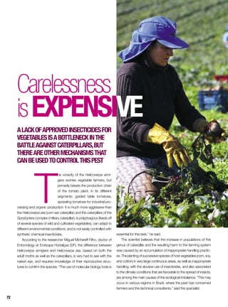 T
he voracity of the Helicoverpa armi-
gera worries vegetable farmers, but
primarily besets the production chain
of the tomato plant, in its different
segments: guided table tomatoes,
sprawling tomatoes for industrial pro-
cessing and organic production. It is much more aggressive than
the Helicoverpa zea (corn ear caterpillar) and the caterpillars of the
Spodoptera complex (military caterpillar), is polyphagous (feeds off
of several species of wild and cultivated vegetables), can adapt to
different environmental conditions, and is not easily controlled with
synthetic chemical insecticides.
According to the researcher Miguel Michereff Filho, doctor of
Entomology at Embrapa Hortaliças (DF), the difference between
Helicoverpa armigera and Helicoverpa zea, based on both the
adult moths as well as the caterpillars, is very had to see with the
naked eye, and requires knowledge of their reproductive struc-
tures to confirm the species. “The use of molecular biology tools is
Carelessness
isexpensive
Alackofapprovedinsecticidesfor
vegetablesisabottleneckinthe
battleagainstcaterpillars,but
thereareothermechanismsthat
canbeusedtocontrolthispest
essential for this task,” he said.
The scientist believes that the increase in populations of this
genus of caterpillar and the resulting harm to the farming system
was caused by an accumulation of inappropriate handling practic-
es.Theplantingofsuccessivespeciesofhostvegetables(corn,soy,
and cotton) in very large continuous areas, as well as inappropriate
handling, with the abusive use of insecticides, and also associated
to the climate conditions that are favorable to the spread of insects,
are among the main causes of the ecological imbalance. “This may
occur in various regions in Brazil, where the pest has concerned
farmers and the technical consultants,” said the specialist.
72
 