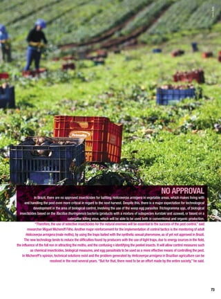 NO APPROVAL
In Brazil, there are no approved insecticides for battling Helicoverpa armigera in vegetable areas, which makes living with
and handling the pest even more critical in regard to the next harvest. Despite this, there is a major expectation for technological
development in the area of biological control, involving the use of the wasp egg parasites Trichogramma spp., of biological
insecticides based on the Bacillus thuringiensis bacteria (products with a mixture of subspecies kurstaki and azawai), or based on a
caterpillar killing virus, which will be able to be used both in conventional and organic production.
“Therefore, the use of selective insecticides for the natural enemies will be essential to the success of the pest control,” said
researcher Miguel Michereff Filho. Another major reinforcement for the implementation of control tactics is the monitoring of adult
Helicoverpa armigera (male moths), by using the traps baited with the synthetic sexual pheromone, as of yet not approved in Brazil.
The new technology tends to reduce the difficulties found by producers with the use of light traps, due to energy sources in the field,
the influence of the full non in attracting the moths, and the confusing n identifying the peeled insects. It will allow control measures such
as chemical insecticides, biological measures, and egg parasitoids to be used as a more effective means of controlling the pest.
In Michereff’s opinion, technical solutions exist and the problem generated by Helicoverpa armigera in Brazilian agriculture can be
resolved in the next several years. “But for that, there need to be an effort made by the entire society,” he said.
SílvioÁvila
73
 