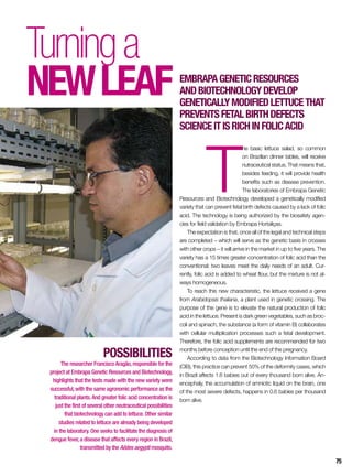 POSSIBILITIES
The researcher FranciscoAragão,responsible for the
project at Embrapa Genetic Resources and Biotechnology,
highlights that the tests made with the new variety were
successful,with the same agronomic performance as the
traditional plants.And greater folic acid concentration is
just the first of several other neutraceutical possibilities
that biotechnology can add to lettuce. Other similar
studies related to lettuce are already being developed
in the laboratory. One seeks to facilitate the diagnosis of
dengue fever,a disease that affects every region in Brazil,
transmitted by the Aëdes aegypti mosquito.
T
he basic lettuce salad, so common
on Brazilian dinner tables, will receive
nutraceutical status. That means that,
besides feeding, it will provide health
benefits such as disease prevention.
The laboratories of Embrapa Genetic
Resources and Biotechnology developed a genetically modified
variety that can prevent fetal birth defects caused by a lack of folic
acid. The technology is being authorized by the biosafety agen-
cies for field validation by Embrapa Hortaliças.
The expectation is that, once all of the legal and technical steps
are completed – which will serve as the genetic basis in crosses
with other crops – it will arrive in the market in up to five years. The
variety has a 15 times greater concentration of folic acid than the
conventional: two leaves meet the daily needs of an adult. Cur-
rently, folic acid is added to wheat flour, but the mixture is not al-
ways homogeneous.
To reach this new characteristic, the lettuce received a gene
from Arabidopsis thaliana, a plant used in genetic crossing. The
purpose of the gene is to elevate the natural production of folic
acid in the lettuce. Present is dark green vegetables, such as broc-
coli and spinach, the substance (a form of vitamin B) collaborates
with cellular multiplication processes such a fetal development.
Therefore, the folic acid supplements are recommended for two
months before conception until the end of the pregnancy.
According to data from the Biotechnology Information Board
(CIB), this practice can prevent 50% of the deformity cases, which
in Brazil affects 1.6 babies out of every thousand born alive. An-
encephaly, the accumulation of amniotic liquid on the brain, one
of the most severe defects, happens in 0.6 babies per thousand
born alive.
EmbrapaGeneticResources
andBiotechnologydevelop
geneticallymodifiedlettucethat
preventsfetalbirthdefects
scienceitisrichinfolicacid
Turninga
newleaf
75
 