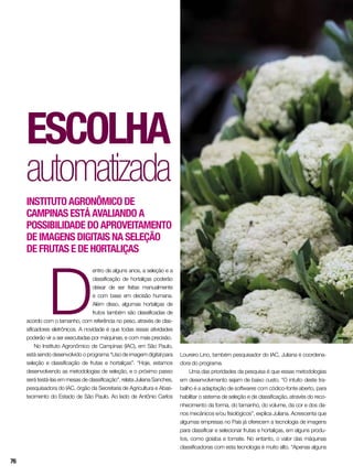 D
entro de alguns anos, a seleção e a
classificação de hortaliças poderão
deixar de ser feitas manualmente
e com base em decisão humana.
Além disso, algumas hortaliças de
frutos também são classificadas de
acordo com o tamanho, com referência no peso, através de clas-
sificadores eletrônicos. A novidade é que todas essas atividades
poderão vir a ser executadas por máquinas, e com mais precisão.
No Instituto Agronômico de Campinas (IAC), em São Paulo,
está sendo desenvolvido o programa “Uso de imagem digital para
seleção e classificação de frutas e hortaliças”. “Hoje, estamos
desenvolvendo as metodologias de seleção, e o próximo passo
será testá-las em mesas de classificação”, relata Juliana Sanches,
pesquisadora do IAC, órgão da Secretaria de Agricultura e Abas-
tecimento do Estado de São Paulo. Ao lado de Antônio Carlos
Escolha
automatizada
Instituto Agronômico de
Campinas está avaliando a
possibilidade do aproveitamento
de imagens digitais na seleção
de frutas e de hortaliças
Loureiro Lino, também pesquisador do IAC, Juliana é coordena-
dora do programa.
Uma das prioridades da pesquisa é que essas metodologias
em desenvolvimento sejam de baixo custo. “O intuito deste tra-
balho é a adaptação de softwares com códico-fonte aberto, para
habilitar o sistema de seleção e de classificação, através do reco-
nhecimento da forma, do tamanho, do volume, da cor e dos da-
nos mecânicos e/ou fisiológicos”, explica Juliana. Acrescenta que
algumas empresas no País já oferecem a tecnologia de imagens
para classificar e selecionar frutas e hortaliças, em alguns produ-
tos, como goiaba e tomate. No entanto, o valor das máquinas
classificadoras com esta tecnologia é muito alto. “Apenas alguns
76
 