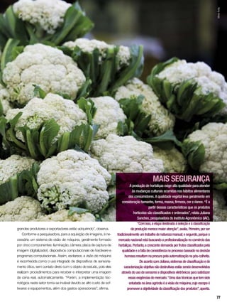 grandes produtores e exportadores estão adquirindo”, observa.
Conforme a pesquisadora, para a aquisição de imagens, é ne-
cessário um sistema de visão de máquina, geralmente formado
por cinco componentes: iluminação, câmera, placa de captura de
imagem (digitalizador), dispositivos computacionais de hardware e
programas computacionais. Assim, esclarece, a visão de máquina
é reconhecida como o uso integrado de dispositivos de sensoria-
mento ótico, sem contato direto com o objeto de estudo, pois eles
realizam procedimentos para receber e interpretar uma imagem
de cena real, automaticamente. “Porém, a implementação tec-
nológica neste setor torna-se inviável devido ao alto custo de sof-
twares e equipamentos, além dos gastos operacionais”, afirma.
MAIS SEGURANÇA
A produção de hortaliças exige alta qualidade para atender
às mudanças culturais ocorridas nos hábitos alimentares
dos consumidores.A qualidade vegetal leva geralmente em
consideração tamanho,forma,massa,firmeza,cor e danos.“É a
partir dessas características que os produtos
hortícolas são classificados e ordenados”,relata Juliana
Sanches,pesquisadora do InstitutoAgronômico (IAC).
“Comisso,aetapadestinadaàseleçãoeàclassificação
daproduçãomerecemaioratenção”,avalia.Primeiro,porser
tradicionalmenteumtrabalhodenaturezamanual;esegundo,porqueo
mercadonacionalestábuscandoaprofissionalizaçãonocomérciodas
hortaliças.Portanto,acrescentedemandaporfrutosclassificadospela
qualidadeeafaltadeconsistêncianoprocessobaseadonadecisão
humanaresultamnaprocurapelaautomatizaçãonapós-colheita.
DeacordocomJuliana,sistemasdeclassificaçãoede
caracterizaçãoobjetivanãodestrutivasestãosendodesenvolvidos
atravésdousodesensoresedispositivoseletrônicosparasatisfazer
essasexigênciasdomercado.“Umadastécnicasquetemsido
estudadanaáreaagrícolaéavisãodemáquina,cujoescopoé
promoveraobjetividadedaclassificaçãodosprodutos”,aponta.
SílvioÁvila
77
 