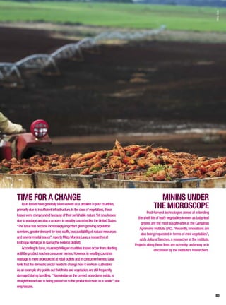 MININS UNDER
THE MICROSCOPE
Post-harvest technologies aimed at extending
the shelf life of leafy vegetables known as baby-leaf
greens are the most sought-after at the Campinas
Agronomy Institute (IAC).“Recently,innovations are
also being requested in terms of mini vegetables”,
adds Juliana Sanches,a researcher at the institute.
Projects along these lines are currently underway or in
discussion by the institute’s researchers.
TIME FOR A CHANGE
Foodlosseshavegenerallybeenviewedasaprobleminpoorcountries,
primarilyduetoinsufficientinfrastructure.Inthecaseofvegetables,these
losseswerecompoundedbecauseoftheirperishablenature.Yetnow,losses
duetowastagearealsoaconcerninwealthycountriesliketheUnitedStates.
“Theissuehasbecomeincreasinglyimportantgivengrowingpopulation
numbers,greaterdemandforfoodstuffs,lessavailabilityofnaturalresources
andenvironmentalissues”,reportsMilzaMoreiraLana,aresearcherat
EmbrapaHortaliçasinGama(theFederalDistrict).
AccordingtoLana,inunderprivilegedcountrieslossesoccurfromplanting
untiltheproductreachesconsumerhomes.However,inwealthycountries
wastageismorepronouncedatretailoutletsandinconsumerhomes.Lana
feelsthatthedomesticsectorneedstochangehowitworksincultivation.
Asanexampleshepointsoutthatfruitsandvegetablesarestillfrequently
damagedduringhandling. “Knowledgeonthecorrectproceduresexists,is
straightforwardandisbeingpassedontotheproductionchainasawhole”,she
emphasizes.
SílvioÁvila
83
 