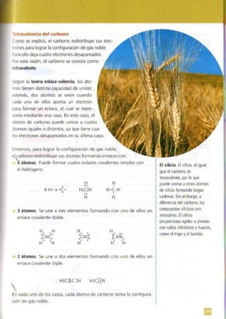 Quimica.pdf