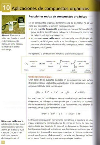 Quimica.pdf