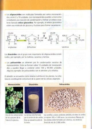 Quimica.pdf
