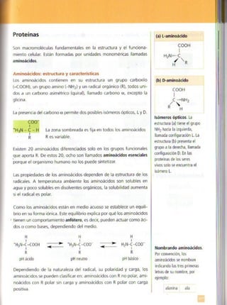 Quimica.pdf