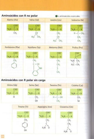 Quimica.pdf