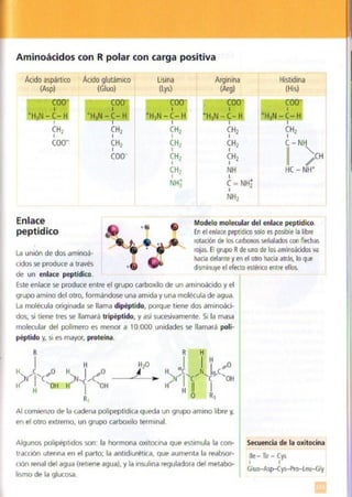 Quimica.pdf