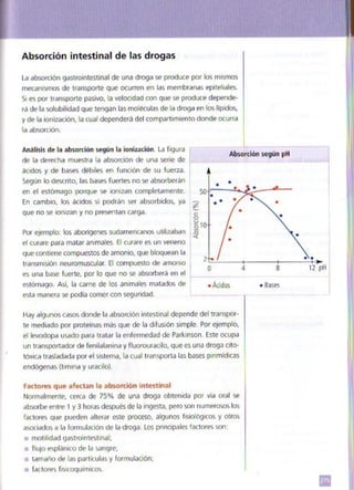 Quimica.pdf