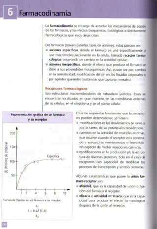 Quimica.pdf