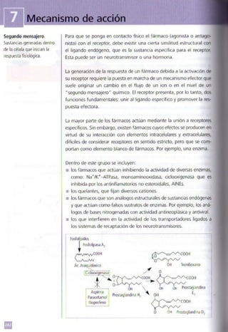 Quimica.pdf