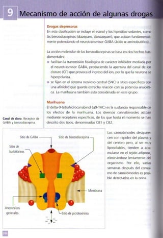 Quimica.pdf