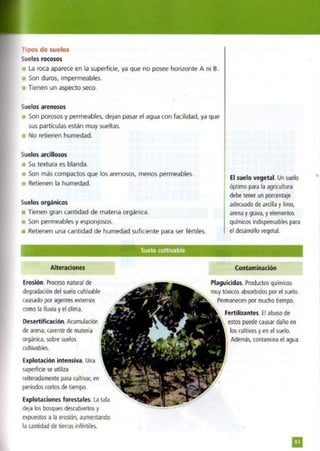 Quimica.pdf