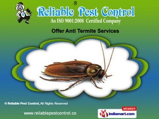 Offer Anti Termite Services
 