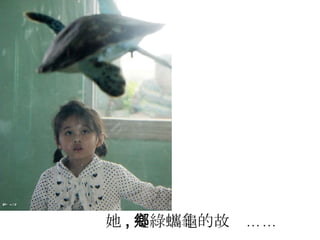她 , 是綠蠵龜的故鄉…… 