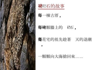 硓  石的故事 每一棟古厝 , 每一顆牆上的硓  石 , 是花宅的祖先趁著每天的退潮 , 一顆顆向大海搶回來…… 