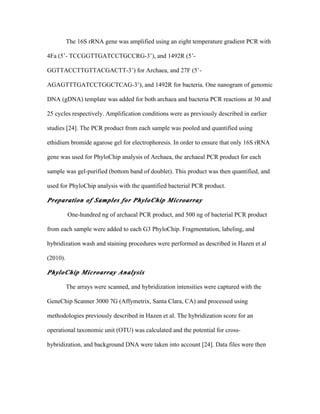 The 16S rRNA gene was amplified using an eight temperature gradient PCR with
4Fa (5’- TCCGGTTGATCCTGCCRG-3’), and 1492R (5’-
GGTTACCTTGTTACGACTT-3’) for Archaea, and 27F (5’-
AGAGTTTGATCCTGGCTCAG-3’), and 1492R for bacteria. One nanogram of genomic
DNA (gDNA) template was added for both archaea and bacteria PCR reactions at 30 and
25 cycles respectively. Amplification conditions were as previously described in earlier
studies [24]. The PCR product from each sample was pooled and quantified using
ethidium bromide agarose gel for electrophoresis. In order to ensure that only 16S rRNA
gene was used for PhyloChip analysis of Archaea, the archaeal PCR product for each
sample was gel-purified (bottom band of doublet). This product was then quantified, and
used for PhyloChip analysis with the quantified bacterial PCR product.
Preparation of Samples for PhyloChip Microarray
One-hundred ng of archaeal PCR product, and 500 ng of bacterial PCR product
from each sample were added to each G3 PhyloChip. Fragmentation, labeling, and
hybridization wash and staining procedures were performed as described in Hazen et al
(2010).
PhyloChip Microarray Analysis
The arrays were scanned, and hybridization intensities were captured with the
GeneChip Scanner 3000 7G (Affymetrix, Santa Clara, CA) and processed using
methodologies previously described in Hazen et al. The hybridization score for an
operational taxonomic unit (OTU) was calculated and the potential for cross-
hybridization, and background DNA were taken into account [24]. Data files were then
 