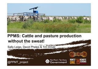 PPMS: Cattle and pasture production
Sally Leigo, David Phelps & Tim Driver
without the sweat!
@PPMT_project
 