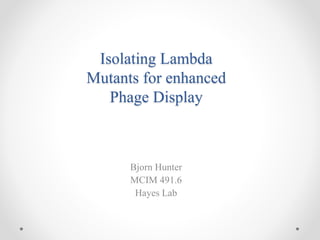 Isolating Lambda
Mutants for enhanced
Phage Display
Bjorn Hunter
MCIM 491.6
Hayes Lab
 