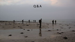 Q & A
 