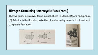 The two purine derivatives found in nucleotides re adenine (A) and and guanine
(G). Adenine is the 6-amino derivative of purine and guanine is the 2-amino-6-
oxo purine derivative.
Nitrogen-Containing Heterocyclic Base (cont.)
 